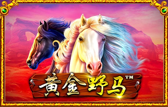 众赢国际app登录入口