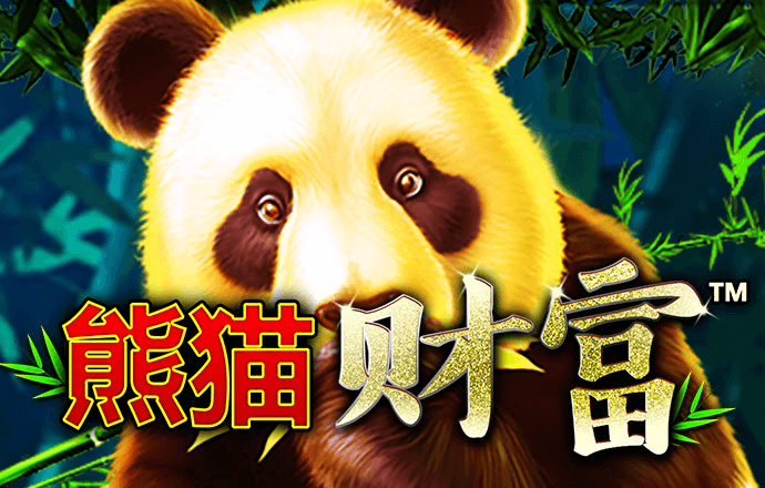 期期中app官方正版下载